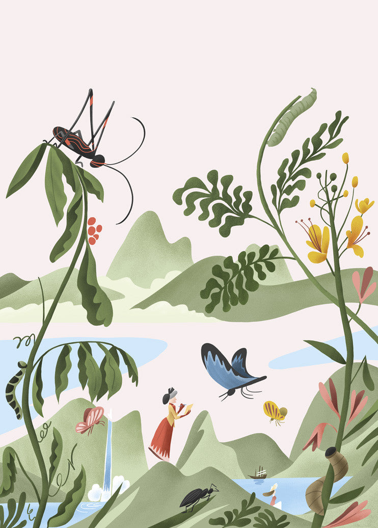 Maria Sibylla Merian / Aesop